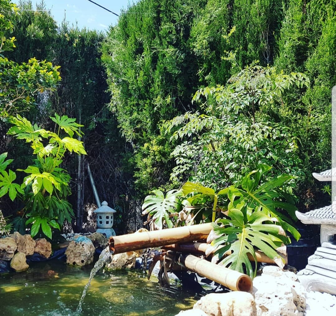 Wellness Beach Therapies · Fotos 2